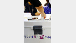 ‘미니 총선’급 재보선… 재판-지방선거 출마 따라 최대 20여곳