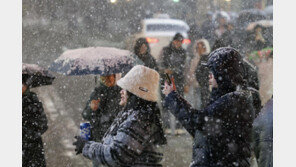 폭설로 여객선 8척·항공기 11편 결항···전국 대설특보 해제