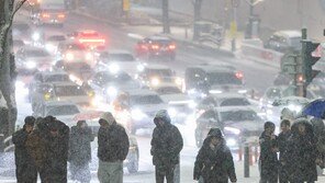 폭설에 수도권 5㎝ 이상 눈…하늘길·뱃길 끊기고 차량 고립 잇따라