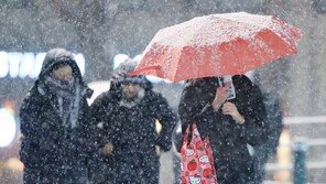 ‘폭격처럼 퍼부은 눈’ 작년 시설피해 4541억…19년 만 최대