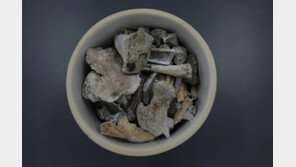 19세 포항전투서 전사한 故 정용환 일병, 75년 만에 가족 품으로