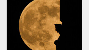 2025년 마지막 슈퍼문 ‘콜드문’ [뉴시스Pic]