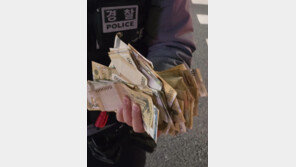 서울 도심 도로에 5만원권 수십장 쏟아져…“홀린 듯 주웠다”