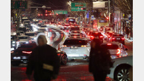 폭설 속 3시간 동안 떨던 임산부…경찰 도움으로 안전히 귀가했다