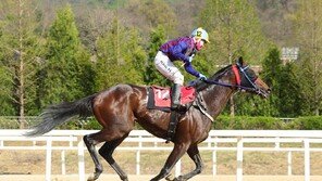 기수복 벗은 김혜선, 그녀가 남긴 ‘넘사벽’ 기록 [데이터 비키니]