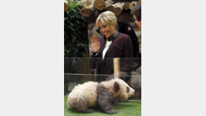 중국, 2027년 프랑스에 판다 한쌍 추가 대여