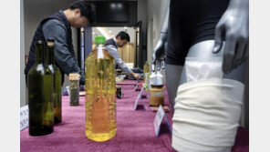 10월까지 마약 3t 적발 역대최대…코카인 34배로 폭증