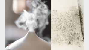 “폐렴 부르는 가습기 습관?”…‘곰팡이’ 포자, 청소·관리법 5가지 [알쓸톡]