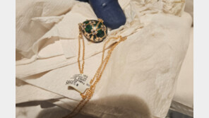 “화장실 갈 때마다 긴장”…3000만원 보석 삼킨 절도범 결국 6일만에 