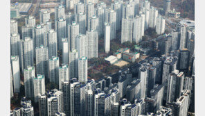 “제가 먼저 계약할게요”… 2030, 한 집 두고 ‘패닉 바잉’ 경쟁 