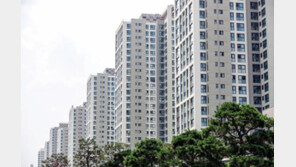 줄이고, 갈아타고, 재구축하고… 새해 ‘3R 부동산 투자전략’