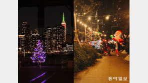 나무가 왔어요 [뉴욕의 순간]