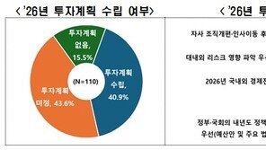 대기업 10곳 중 6곳, 내년 투자 계획 ‘없거나 미정’