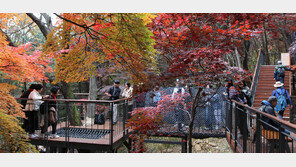 [단독]‘생태-경관지역’ 33곳 중 18곳이 서울에