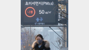 추위 주춤하니, 미세먼지 기승