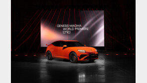 외국산 전기차 ‘한국 침공’… 현대차 ‘내수 방어’ 고심[자동차팀의 비즈워치]