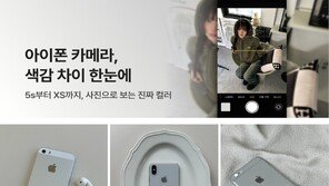 배송·환불 차일피일…공정위, 중고 아이폰 전문몰 판매 중지명령