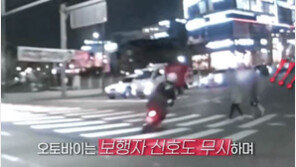 난폭운전 오토바이 추격한 경찰, 시민 손짓 덕에 잡았다 (영상)