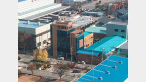 원바이오젠, 20억 규모 자사주 매입 결정…“저평가 해소·주주가치 강화”