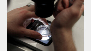 “맞춤형 아기 쇼핑”…시험관 아기 ‘등급’ 매기는 부부들