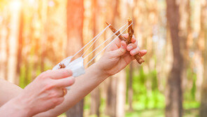 중학생 향해 새총으로 바둑알 발사한 50대男 “욕해서 쐈다”