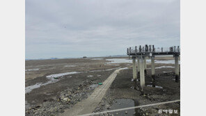 ‘해경 순직’ 영흥도 내리 갯벌 출입 제한