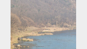 영동 금강변서 남성 시신 발견…두 달 전 천태산 실종 노인 추정
