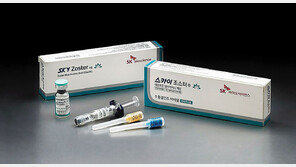 “대상포진 생백신, 심혈관질환 위험 26% 낮춰… 노인접종 늘려야”