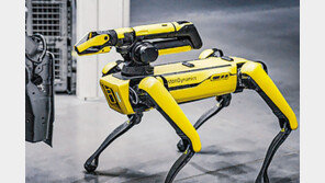 진격의 로봇주… 현대차 ‘피지컬 AI 프리미엄’에 이달 20% 급등