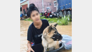 “개 없이는 나도 안 가”…홍수 속 구조 거부한 여성