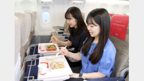 “기내식엔 유독 삶은 채소 뿐”, 왜?…‘이것’ 고려한 조치