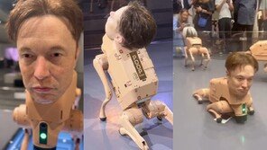 일론 머스크 얼굴 단 로봇개…NFT ‘배설’ 퍼포먼스에 전시장 술렁