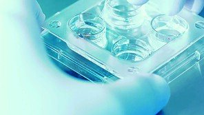 MASH 치료제 경쟁… 제약사들, 간-대사질환 타깃 ‘FGF21’ 총력전