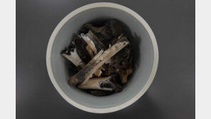 만삭 아내와 딸 남기고 떠난 6.25 호국영웅, 75년만에 유해 확인