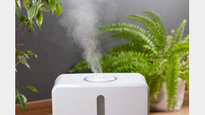 가습기, 독감 예방에 얼마나 효과 있나? 과학이 밝힌 진실