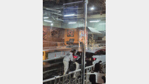 폭설로 차량 고립되자…가방까지 던지고 도운 중학생들