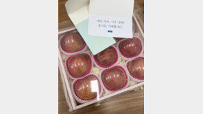 혁신당, 국힘에 “내란 사과·극우 절연” 메시지 담은 사과 박스 전달