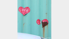 [고양이 눈]지켜내는 사랑