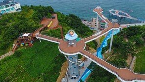 동해 명소 무릉건강숲-도째비골에 무장애 키오스크-점자 설치