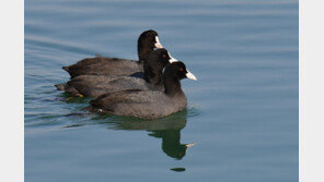 “셋이나 뭉쳤는데 먹잇감 하나 못 구할까”