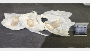 5830명 투약분 엑스터시 신체에 숨겨 밀반입한 네덜란드인 검거