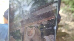 ‘집 안에서 웬 날벼락’…태국 60대 男, 야생 원숭이 공격에 숨져