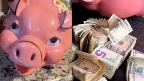 중고 돼지저금통 샀다가 ‘횡재’… 300만원 현금 뭉치 발견