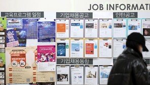 서비스업 호조 11월 취업자 22.5만명↑…제조·건설업은 부진