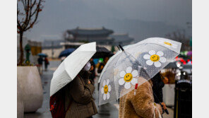 추위 풀려 비교적 포근…내일 전국 대부분 비·눈