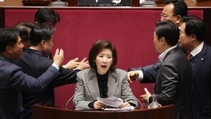민주 “국회를 유튜브 무대로…나경원·곽규택 윤리위 제소”