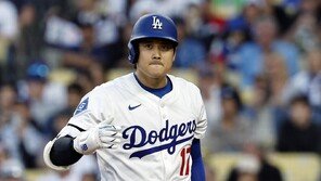 오타니, AP ‘올해의 男선수’… 통산 4번째 역대 최다 타이