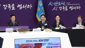 ‘AI두뇌’ NPU 개발에 1.2조… 첫 민관합동 파운드리 짓는다