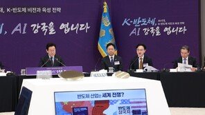 정부 “700조 투자유치, 세계최대 반도체 클러스터 조성”