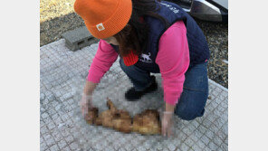 부산서 불에 탄 채 토막 난 고양이 사체 발견…경찰 고발